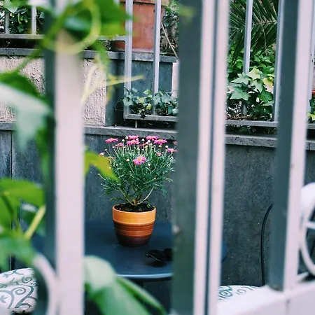 Bed and Breakfast Santa Clara