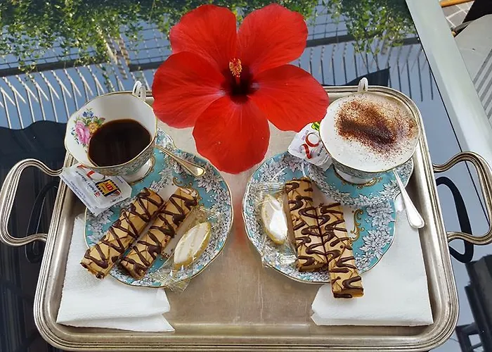 Bed and breakfast Santa Clara